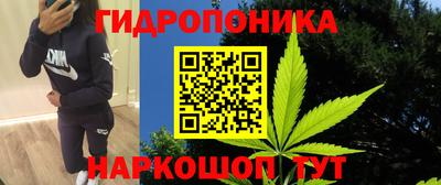 apvp Нягань
