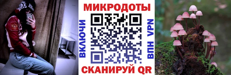 Галлюциногенные грибы Psilocybine cubensis  где продают наркотики  Нефтекамск 