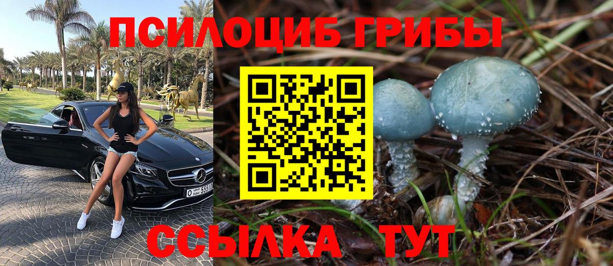 Псилоцибиновые грибы прущие грибы Нефтекамск