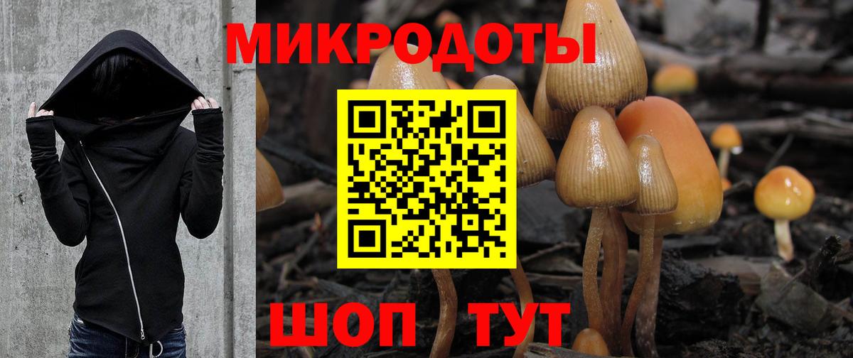 где купить наркоту  Псилоцибиновые грибы мухоморы  Вход с VPN  Нефтекамск 